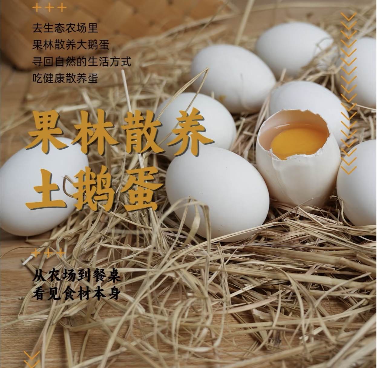 【200克以上双黄蛋】青岛农家桃园散养鹅蛋现捡现发新鲜健康