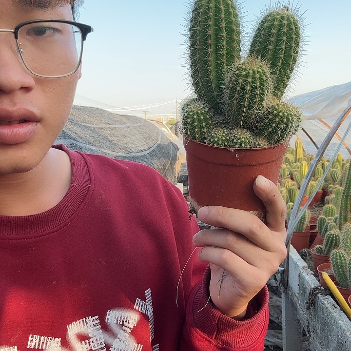 清***来无花朵仙女哈哈哈哈哈哈哈