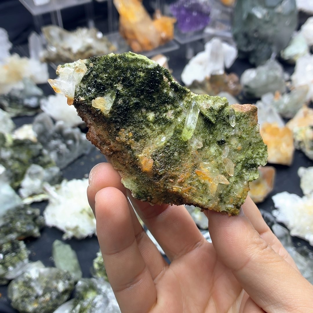 石材缤纷热带花园