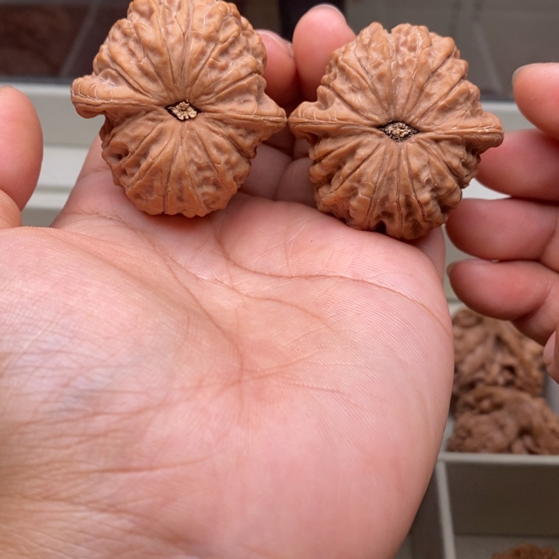 文玩核桃把件39.5血麒麟