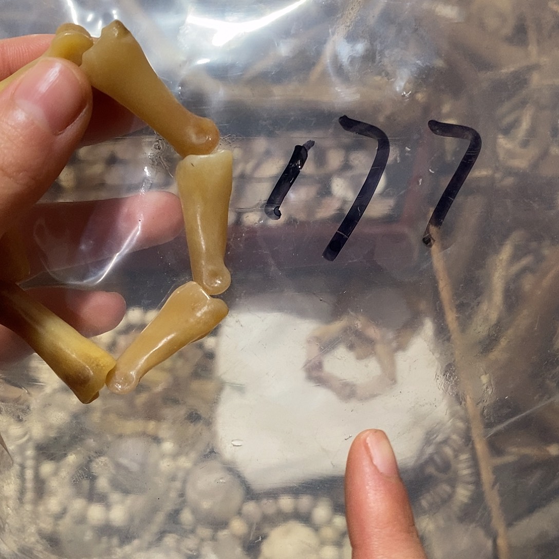 F***马非金属鹿骨鹿骨鹿骨