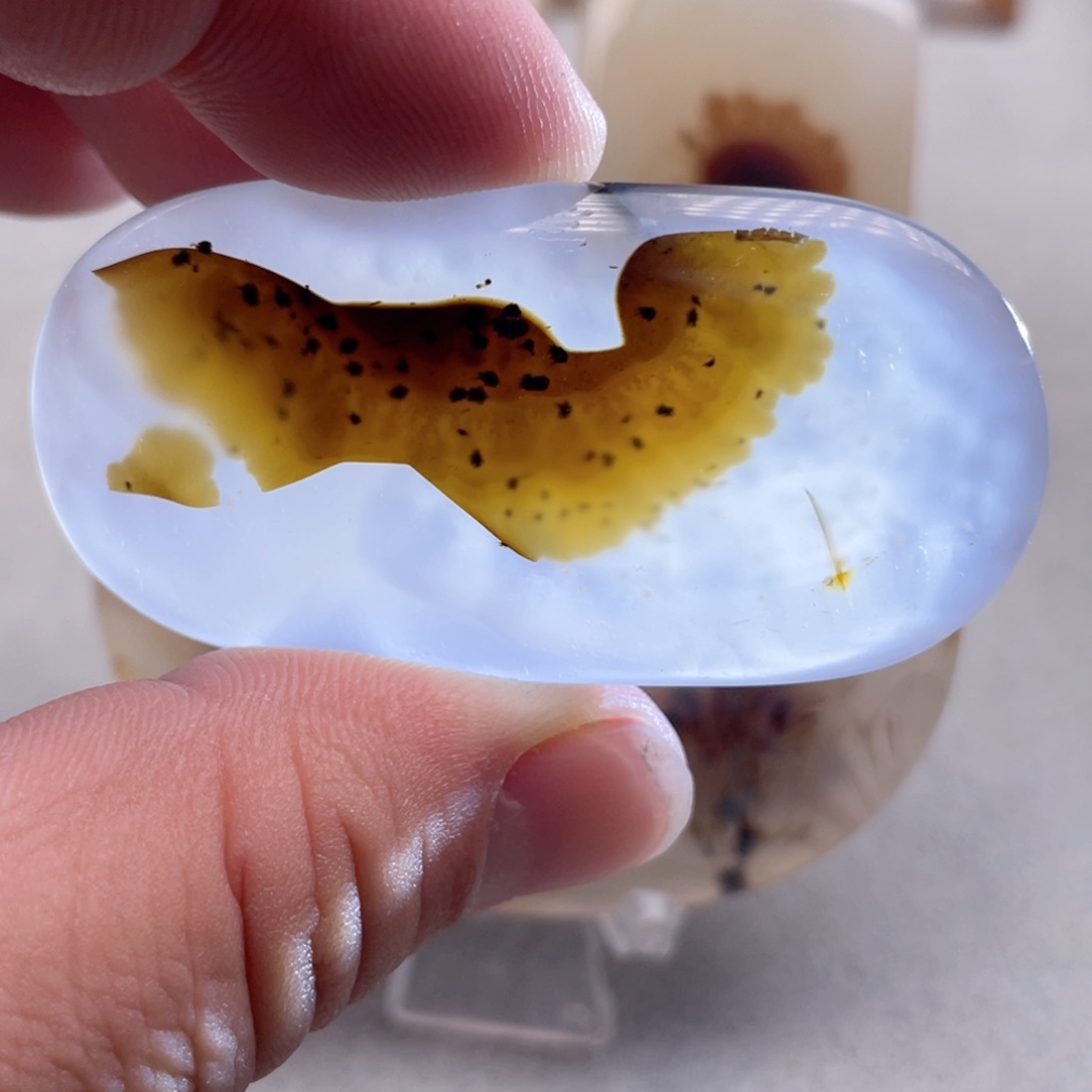 【闪购商品】玛瑙/玉髓颈饰合金