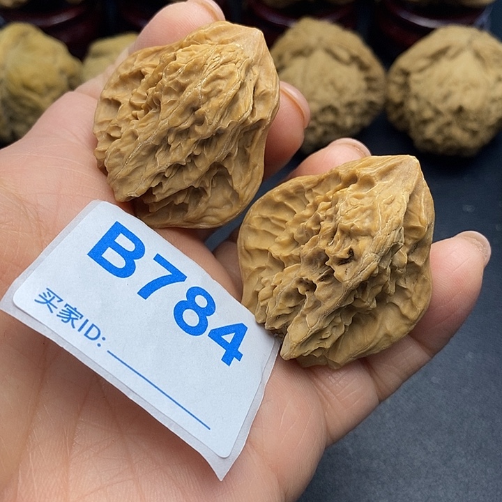 核桃盘山小鸟，盘山