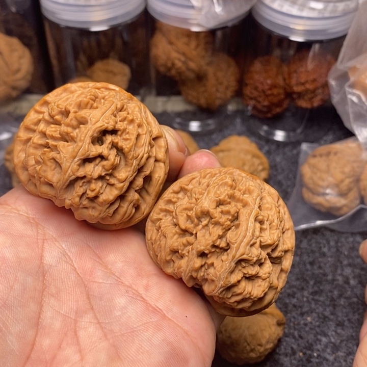 文玩核桃吊坠50.5大粗筋