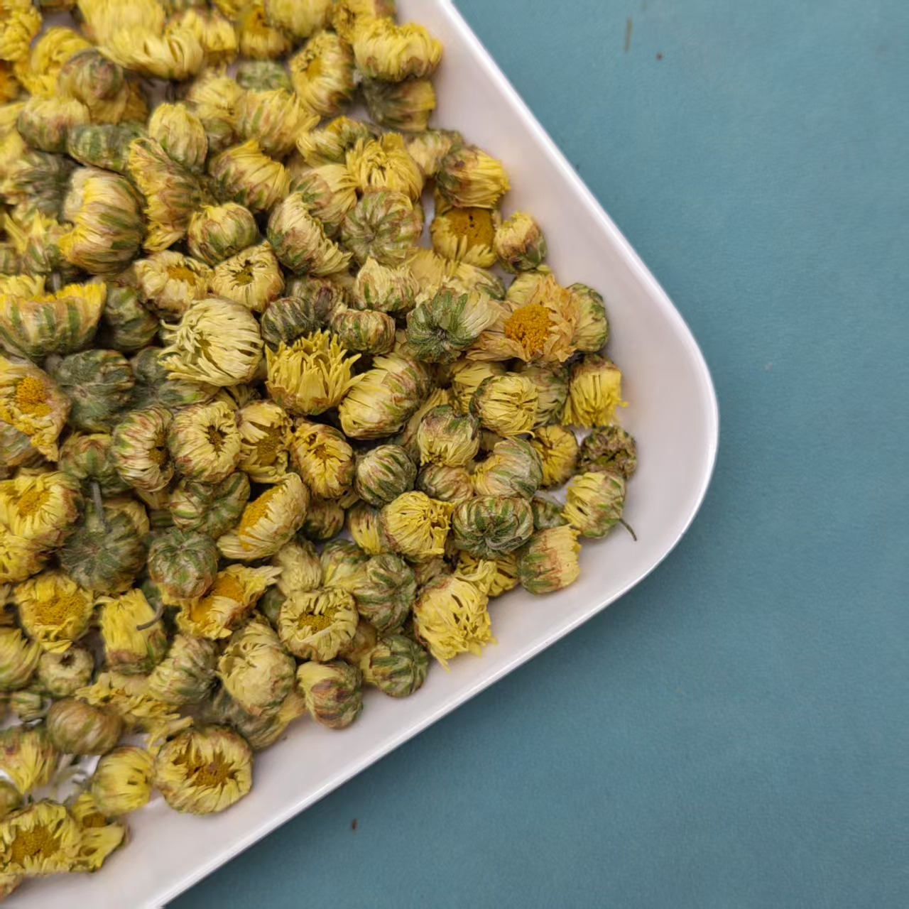 胎菊 纯天然精品菊花 黄老师推荐