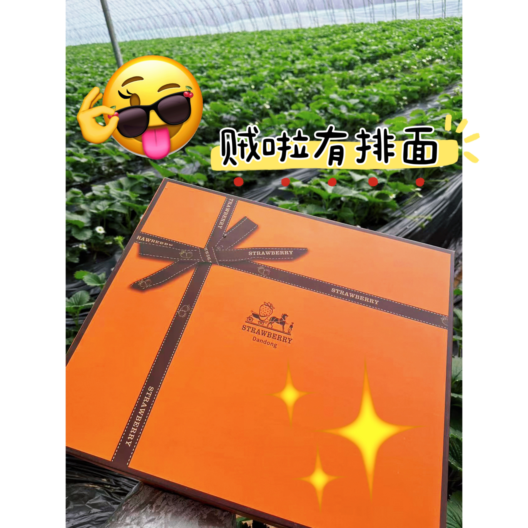 高端礼盒精品果正宗丹东99大草莓送礼佳品