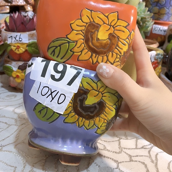 多肉花盆满15包邮