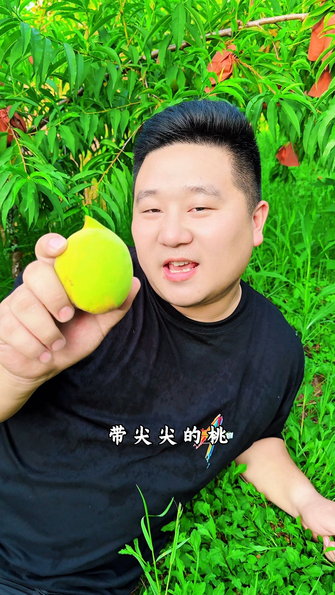 现货鹰嘴桃（清甜脆口） 新鲜采摘 5斤整箱包邮 当季水果