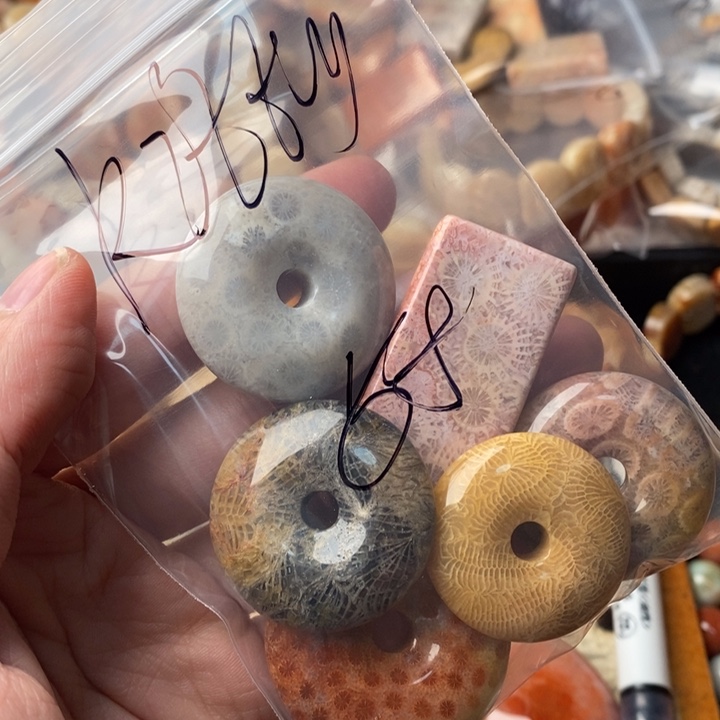 k***y颈饰未镶嵌硅化珊瑚（珊瑚玉）