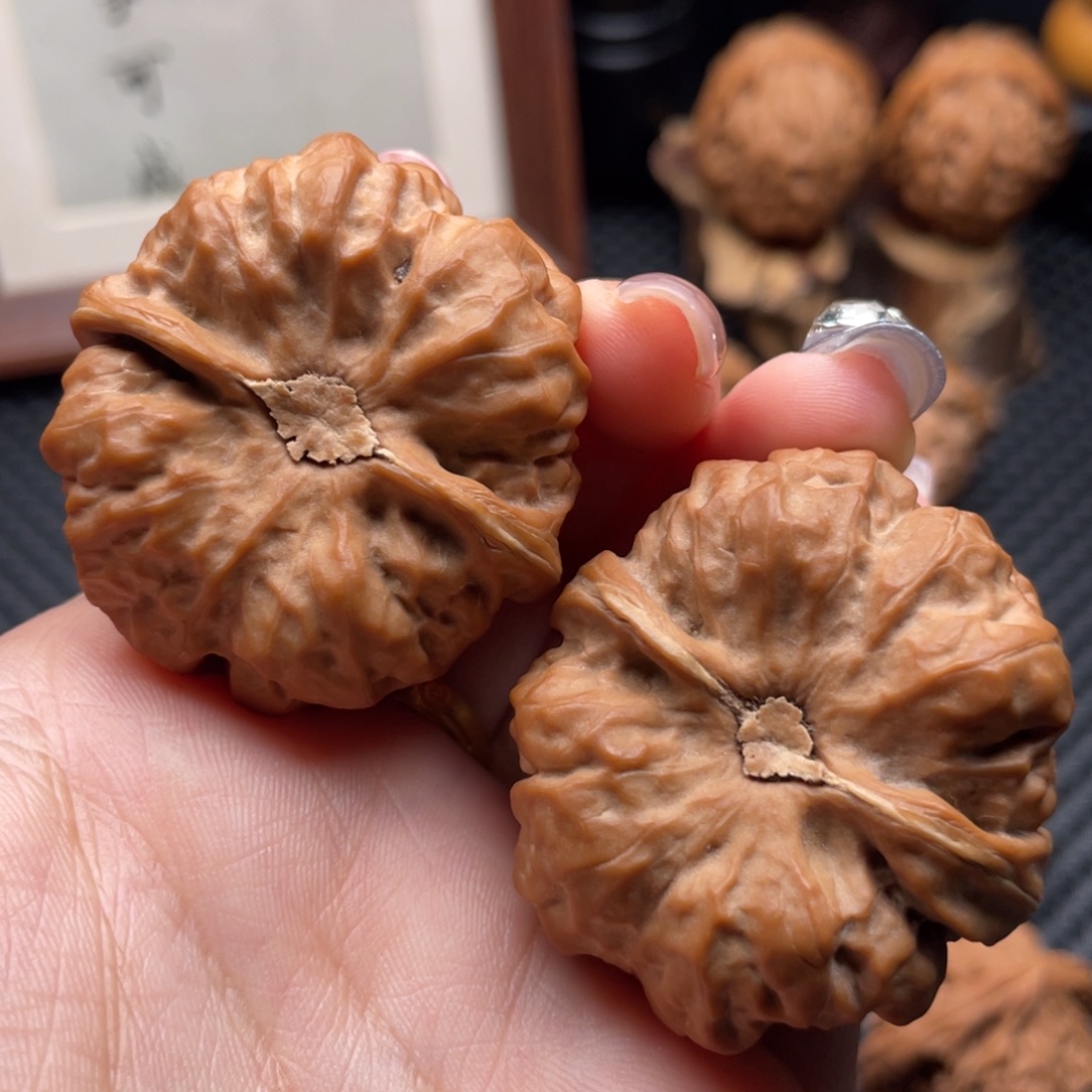 山***-文玩核桃把件蛤蟆头