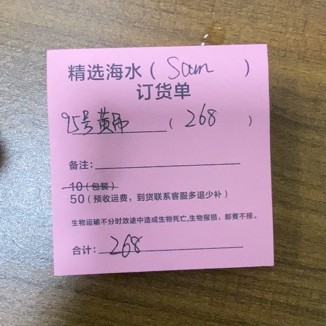 海水鱼95号黄吊海水鱼