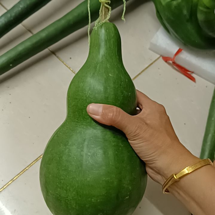 濒****木鹤首葫芦！！！！！！！！！
