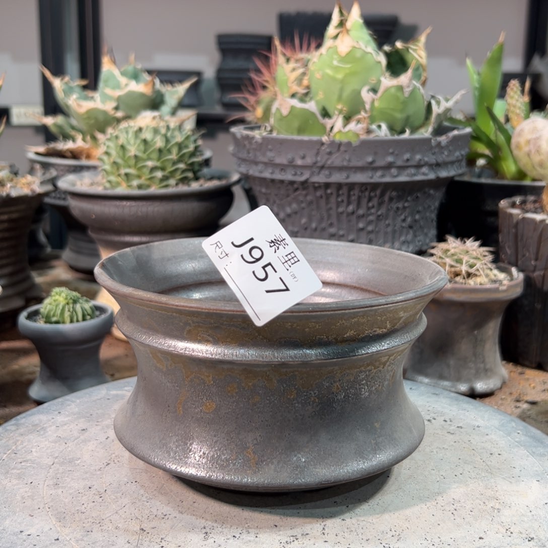 景德镇手工素里内口15.5高9