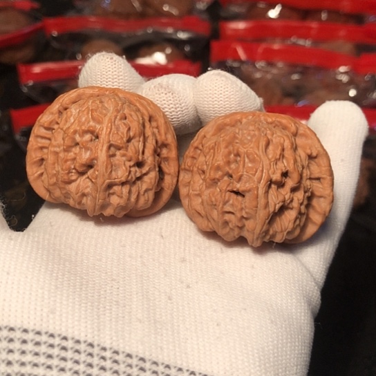 文玩核桃把件白狮子40