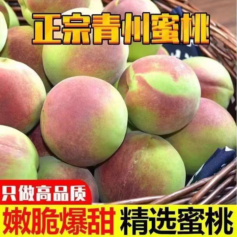 4青州蜜桃毛桃新鲜水果买5斤送5斤【净重9斤】