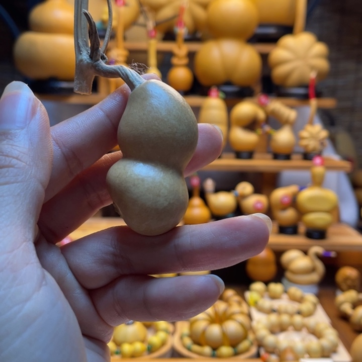 一***城天然葫芦自然生长