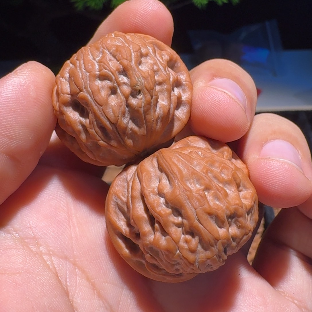 百****吊坠文玩核桃太行龙珠
