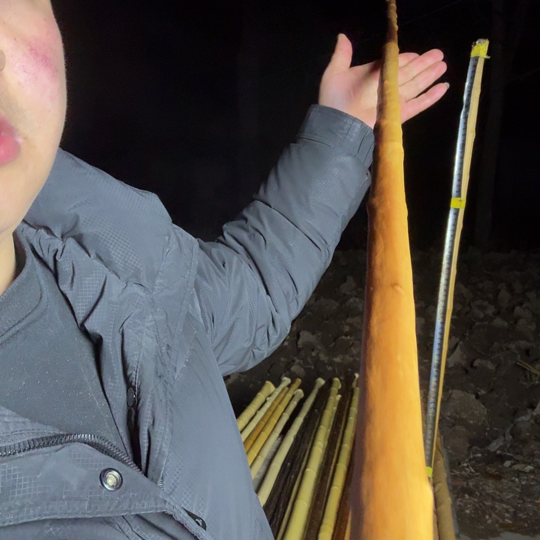 心***苏好好好好好好好好好好好