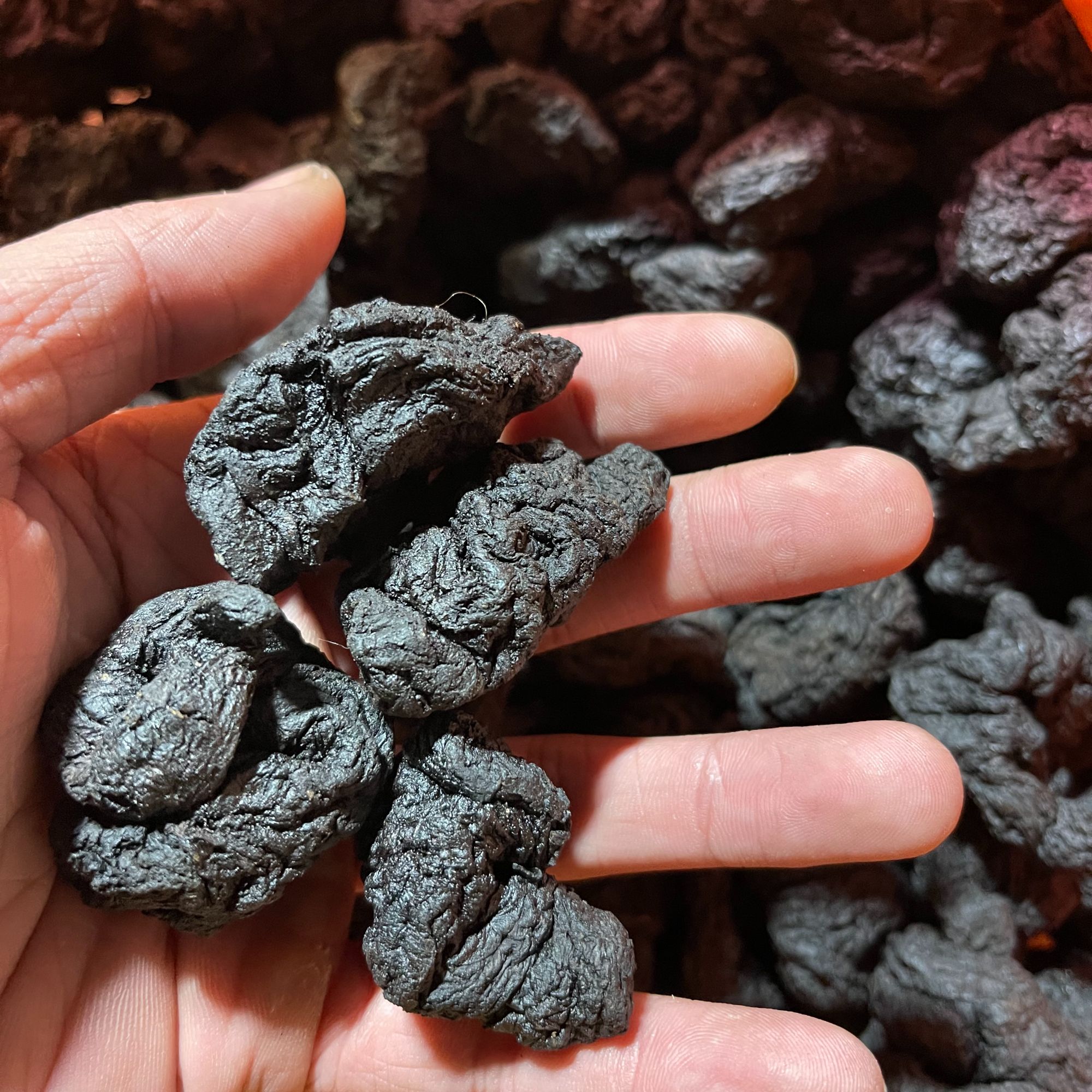 熟地黄正宗河南熟地黄干净无沙可直接吃泡水煮水煲汤九蒸