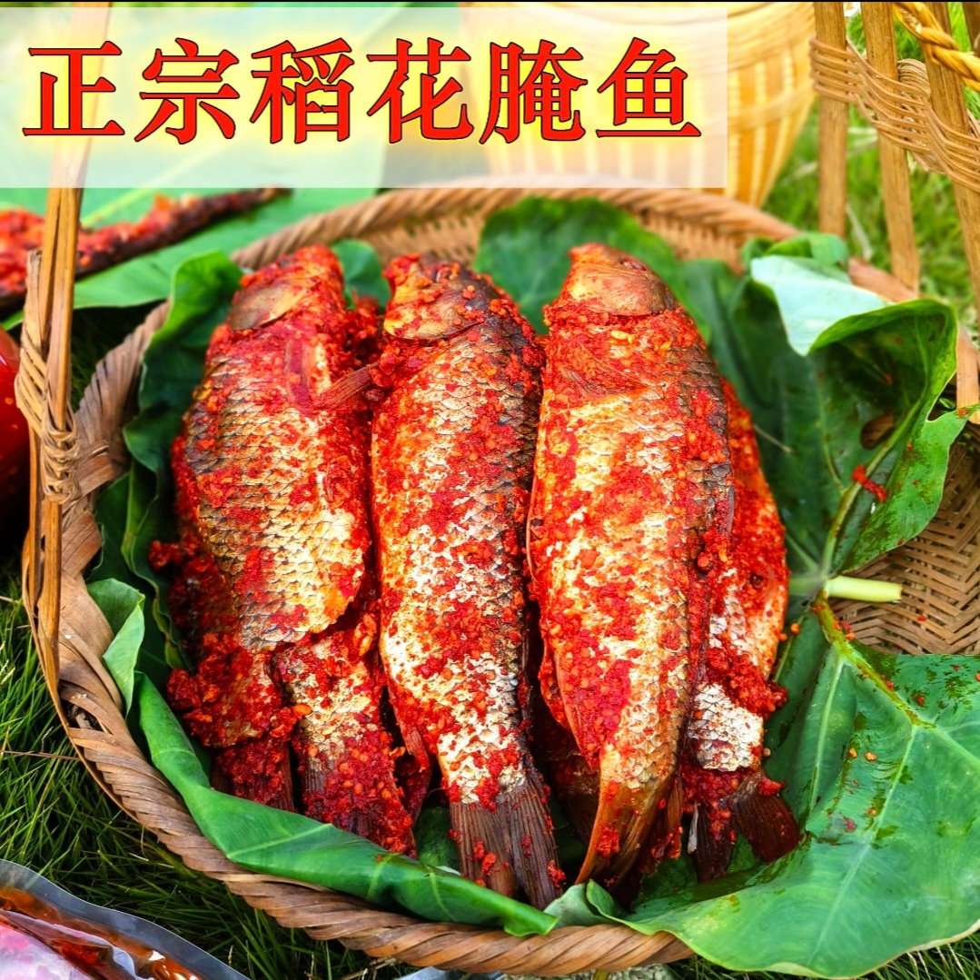 贵州特产黎从榕腌鱼稻花鱼手工腌制本地美食腌鱼