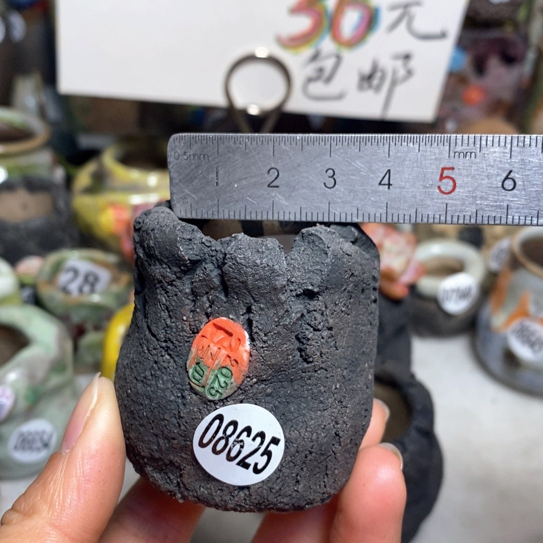 花盆拍3送一个小礼物