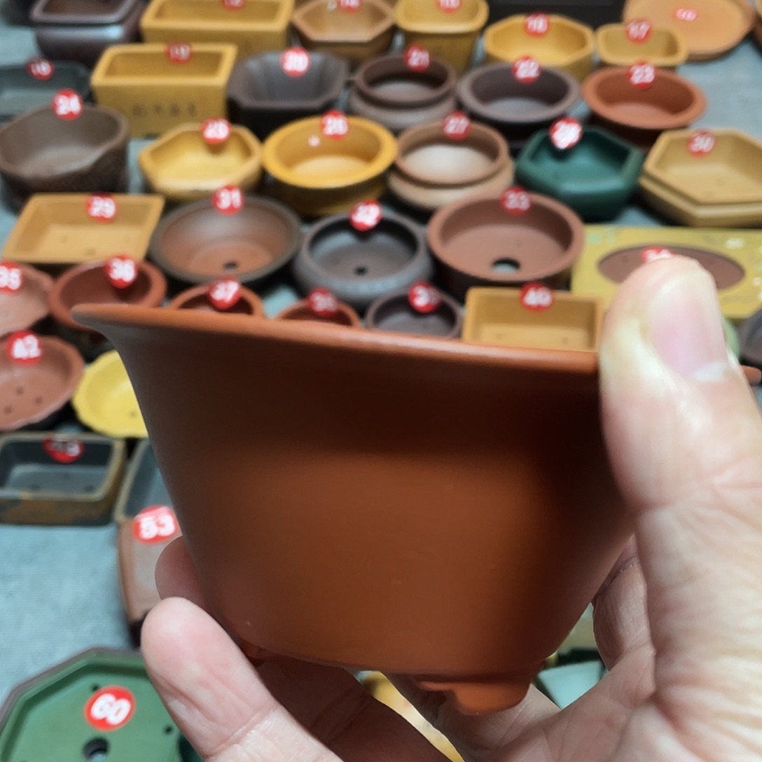 紫砂小盆10*5cmmmm