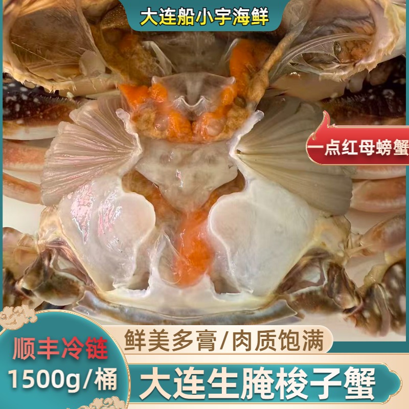 【船小宇】 生腌梭子蟹 螃蟹重1斤一点红飞蟹 4两/只【保鲜不保活】
