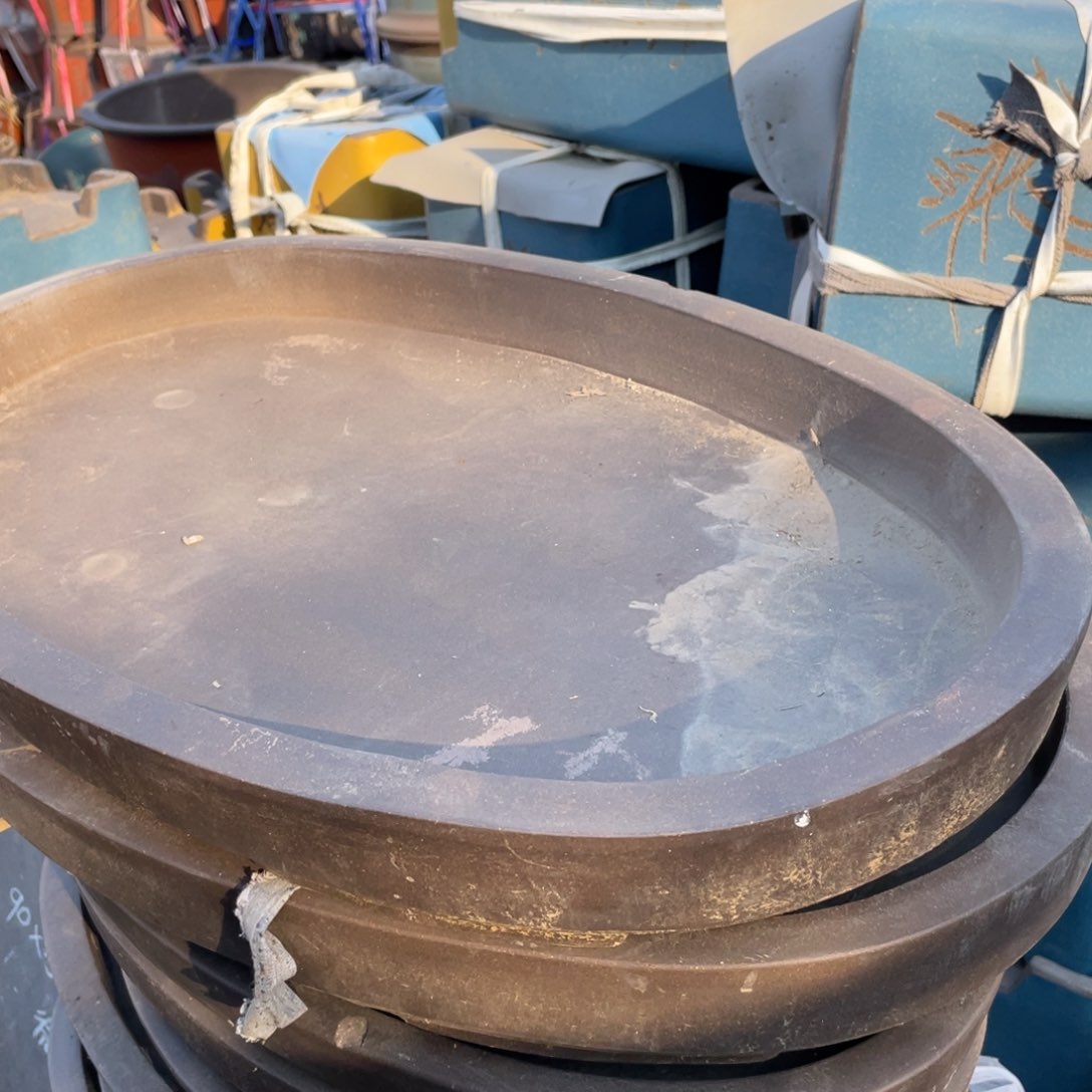 紫砂60cm 椭圆浅盆 一支