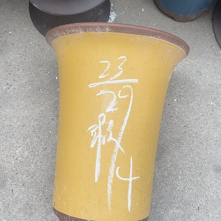 周三周四擅作主张在宿舍 