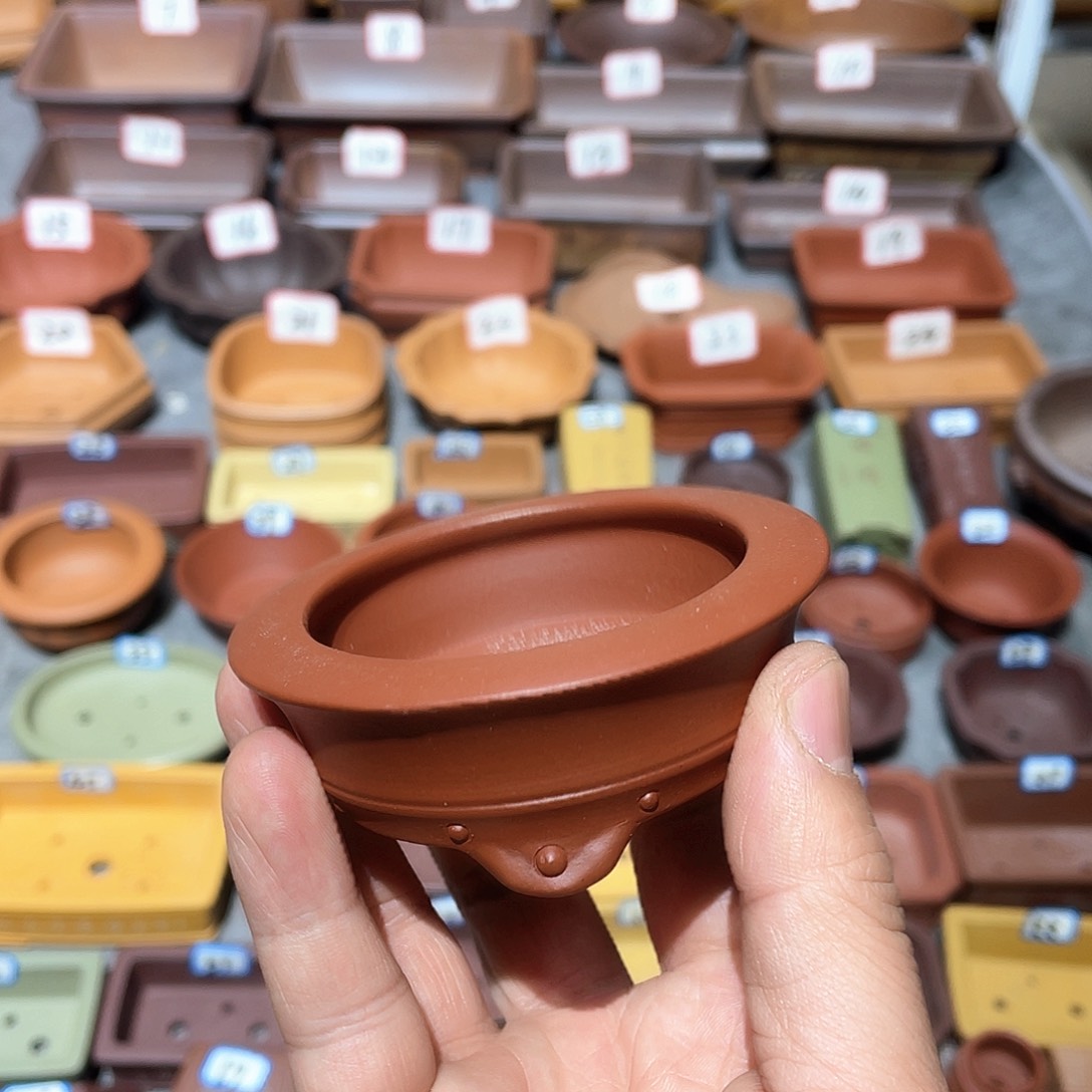 紫砂小盆6*1.5cmmm