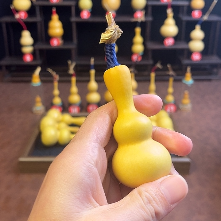 公***奇葫芦鸡真的好好看