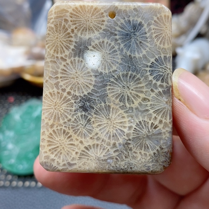 硅化珊瑚（珊瑚玉）颈饰未镶嵌