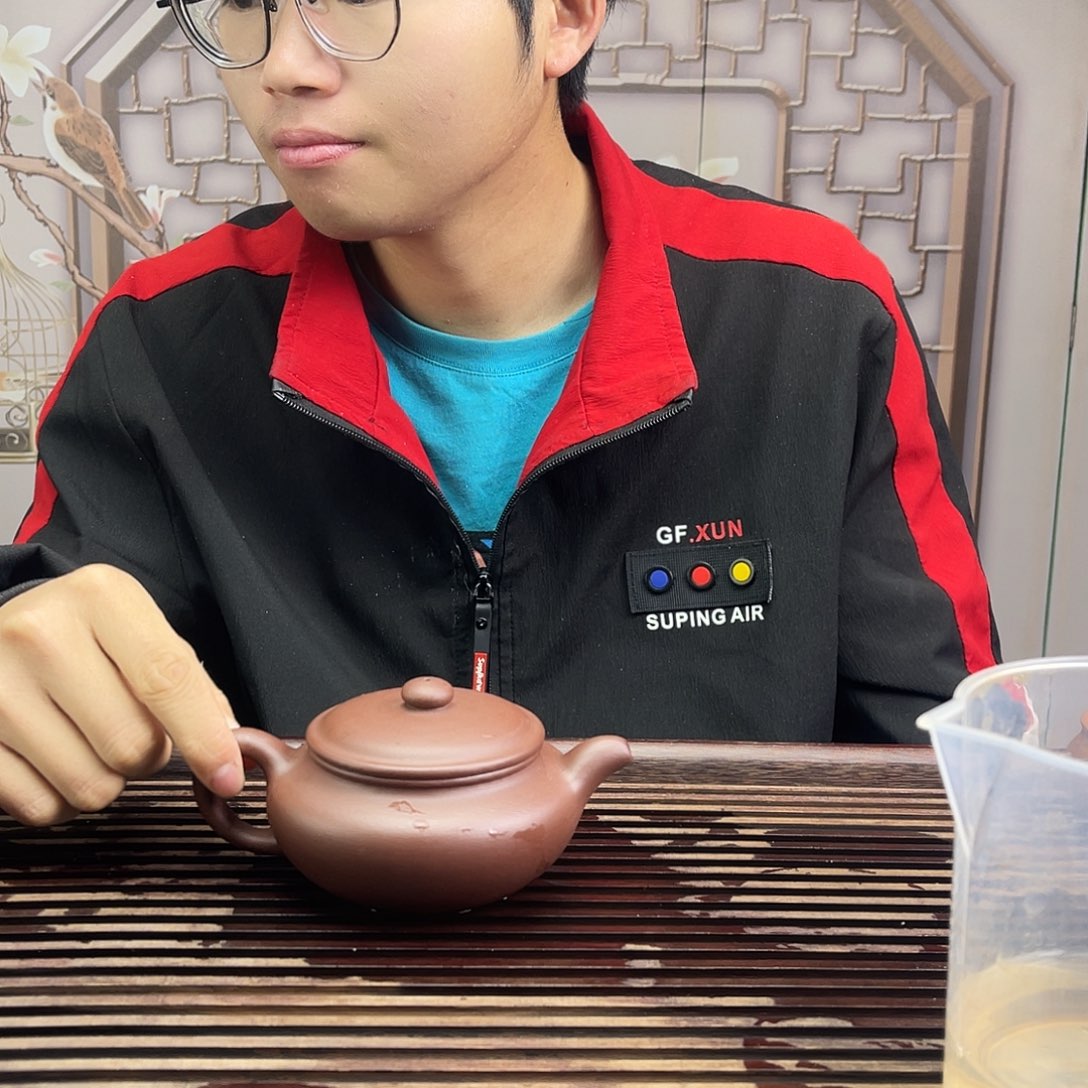 茶壶紫砂紫泥景舟扁腹