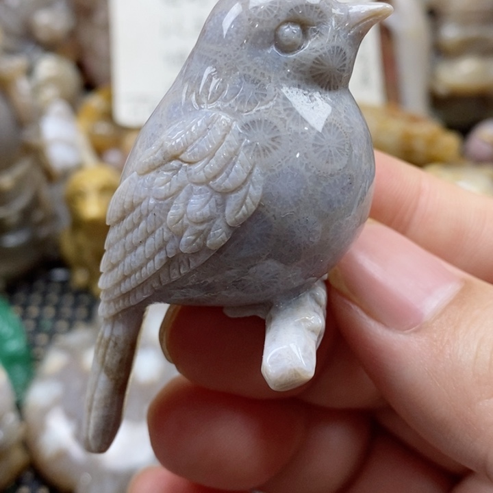 硅化珊瑚（珊瑚玉）颈饰未镶嵌