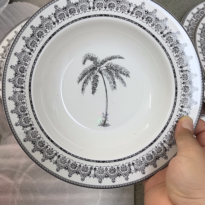 娜***姐新骨瓷四个草帽椰子树8.5寸微瑕