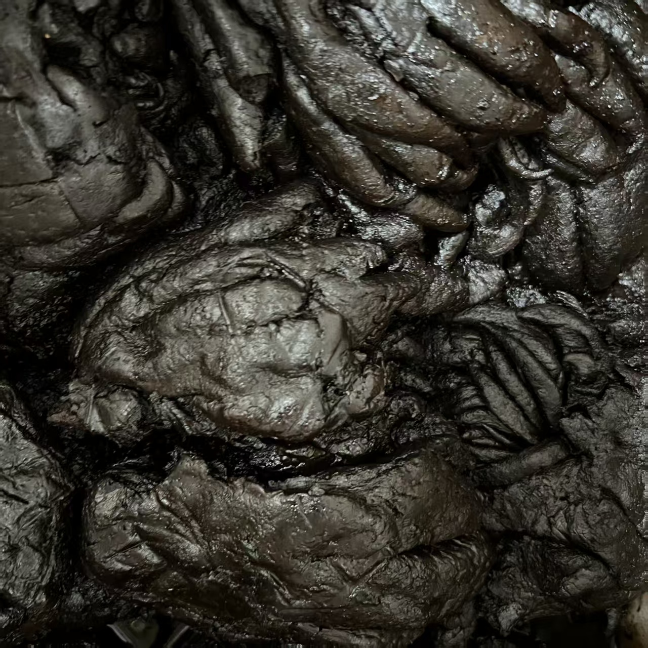 优质好货黑 老香黄0.7-1斤 茶