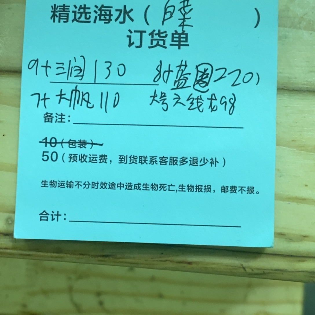 海水鱼三间 蓝圈 大帆 大号六线龙