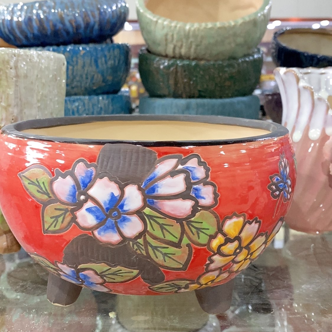 【闪购商品】红陶福利