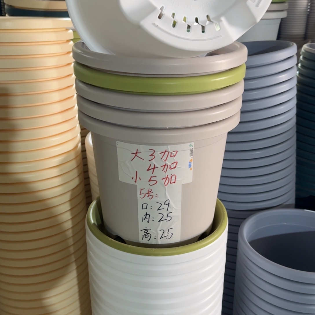 四季5#口径29高25无拖果绿10个