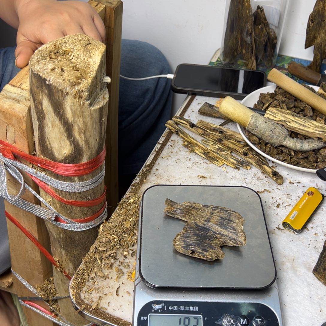 线香奇楠虫漏香19克