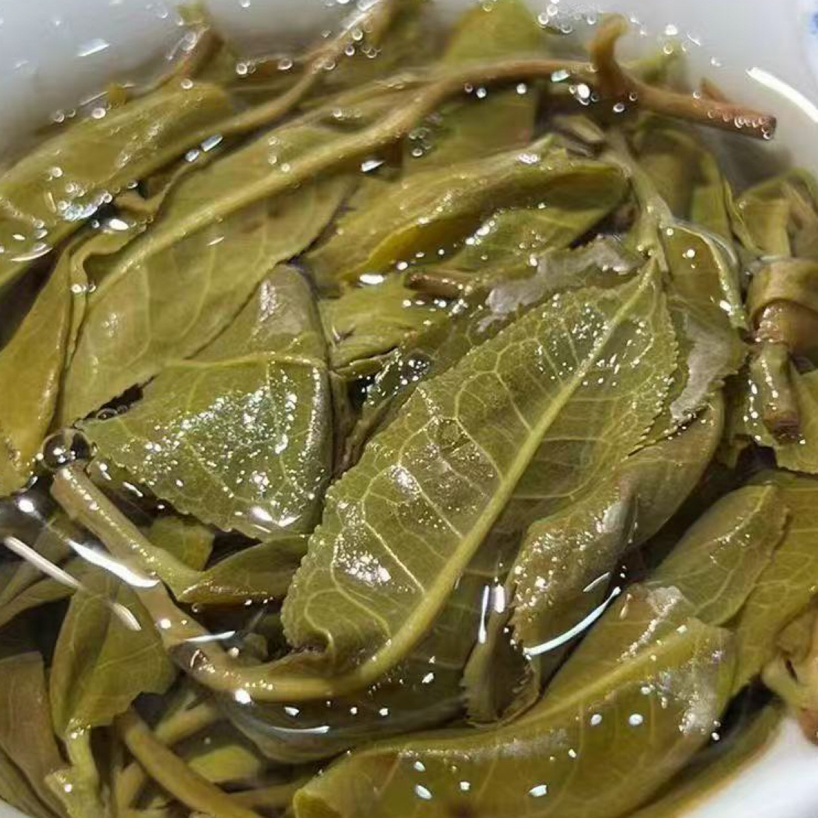 新粉丝必拍！限购40单！冰岛老寨百年古树纯料！5克试喝装！