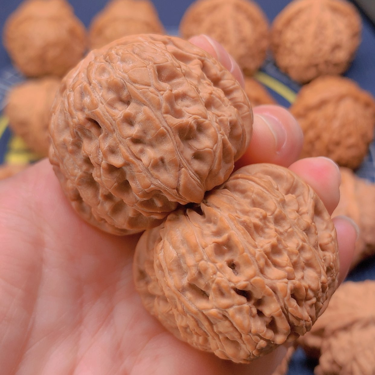 【闪购商品】文玩核桃把件白狮子41