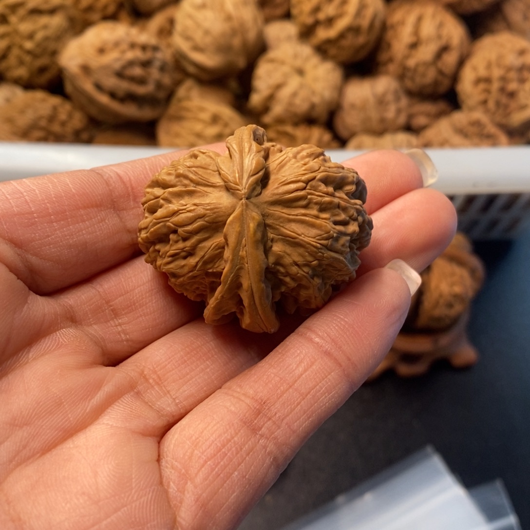 o***哥文玩核桃吊坠白狮子