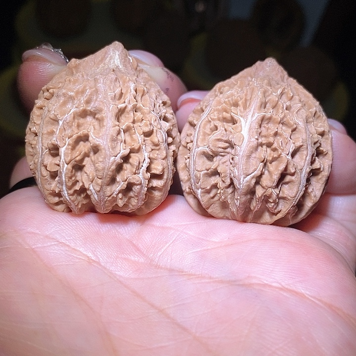 文玩核桃把件东北野生楸子小美89