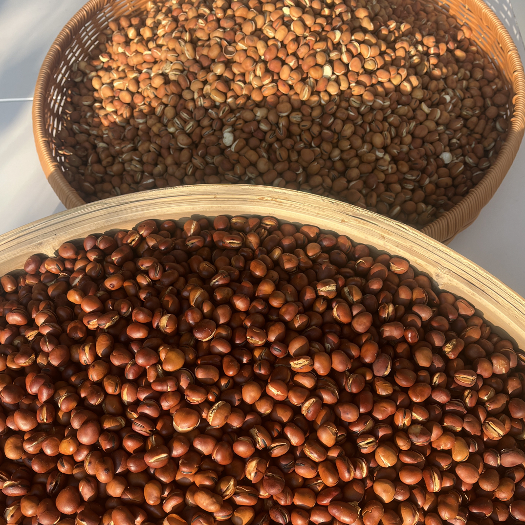 高原特产西北味 柴火铁锅 酥香蚕豆 新鲜现炒 焦香酥脆 休闲零食