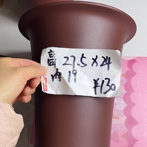 红陶紫砂2222222222