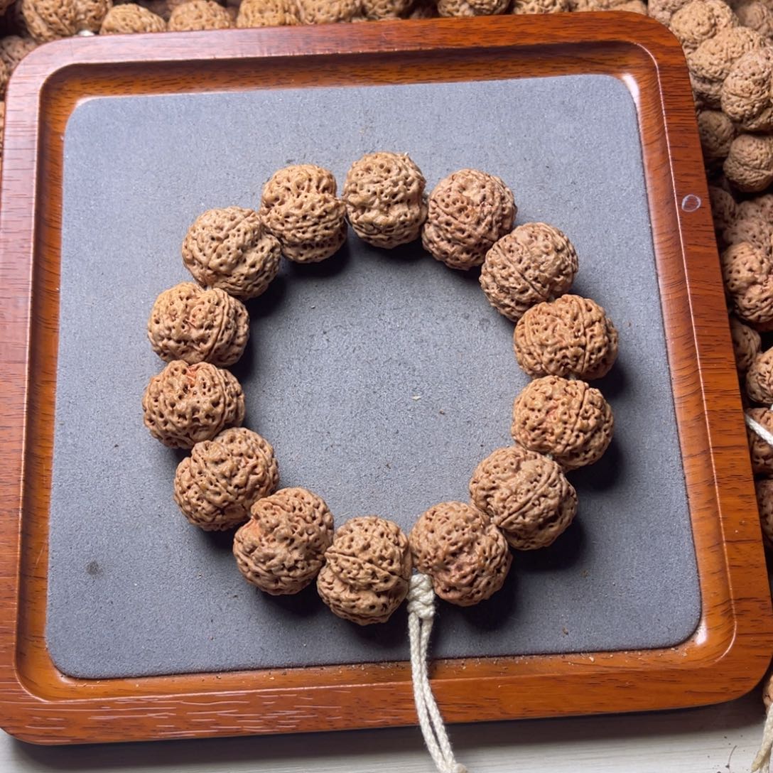 菩提籽类13号金刚梁梅花双龙25