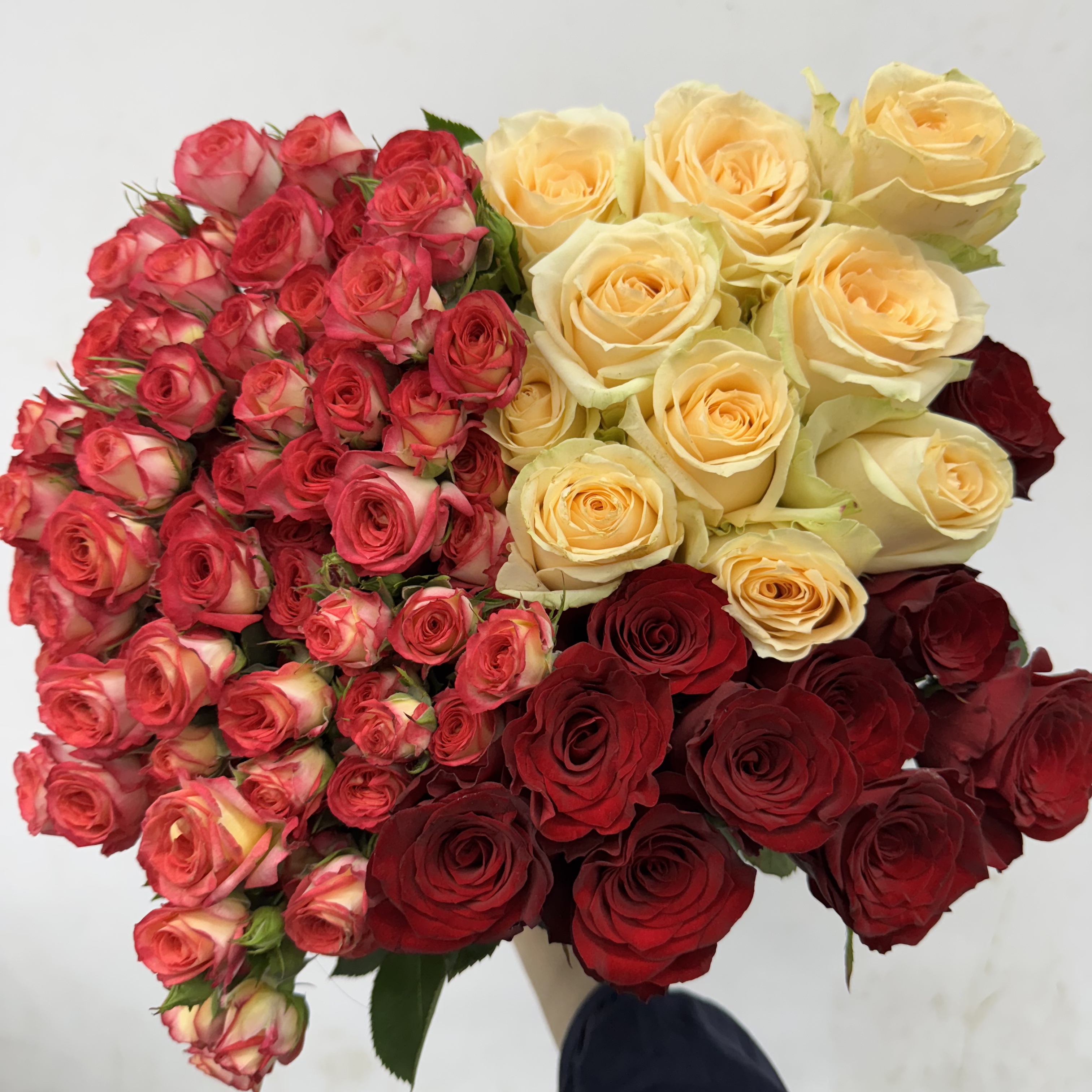 【玫瑰组合】单头玫瑰新鲜鲜花花束云南昆明基地直发速递同城家用