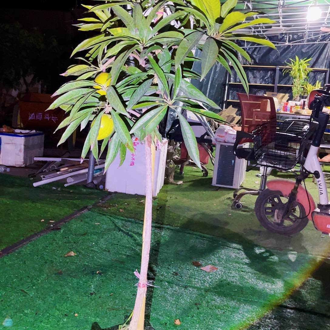 完全开放小*宝当然沟沟壑壑