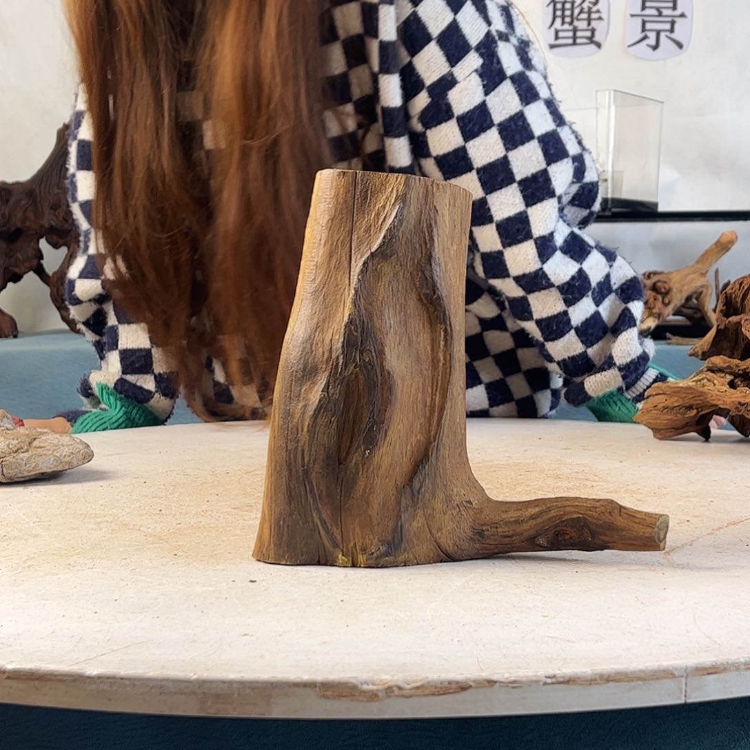 优****）沉木造景寄居蟹造景